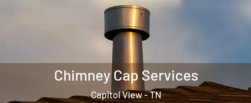 Chimney Cap Services Capitol View - TN