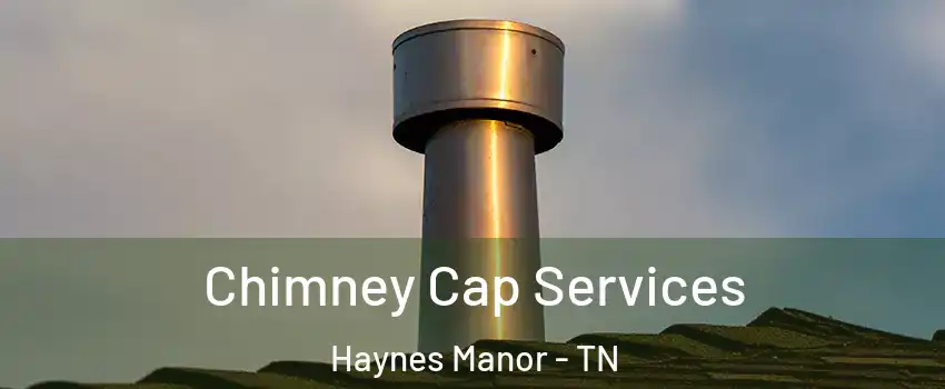 Chimney Cap Services Haynes Manor - TN