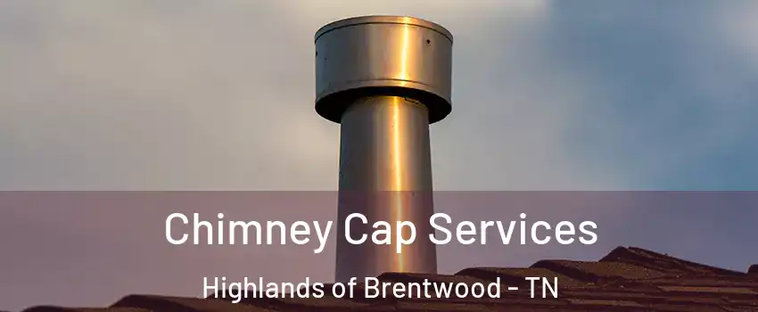 Chimney Cap Services Highlands of Brentwood - TN