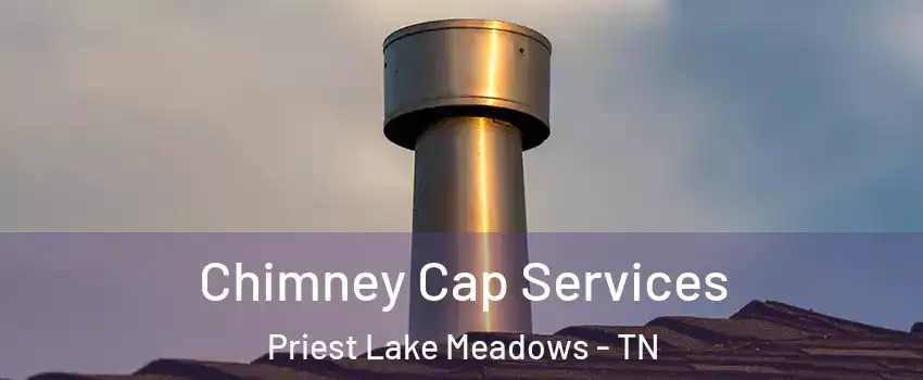 Chimney Cap Services Priest Lake Meadows - TN