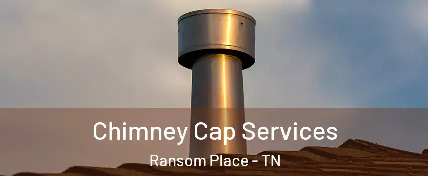 Chimney Cap Services Ransom Place - TN