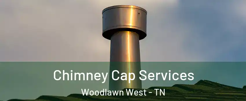 Chimney Cap Services Woodlawn West - TN