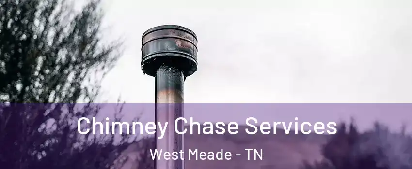 Chimney Chase Services West Meade - TN