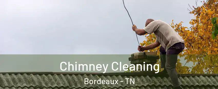 Chimney Cleaning Bordeaux - TN