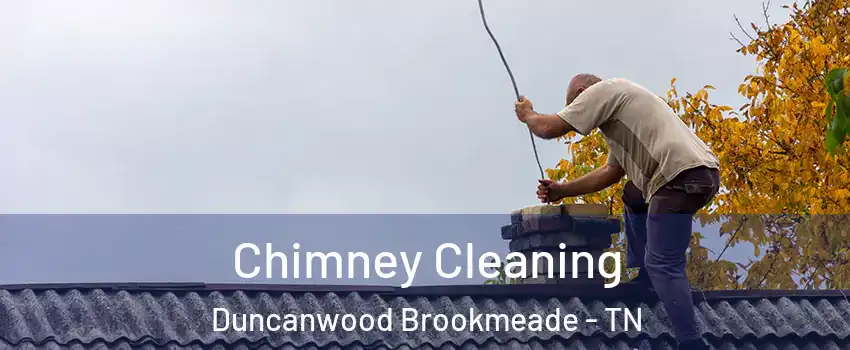 Chimney Cleaning Duncanwood Brookmeade - TN