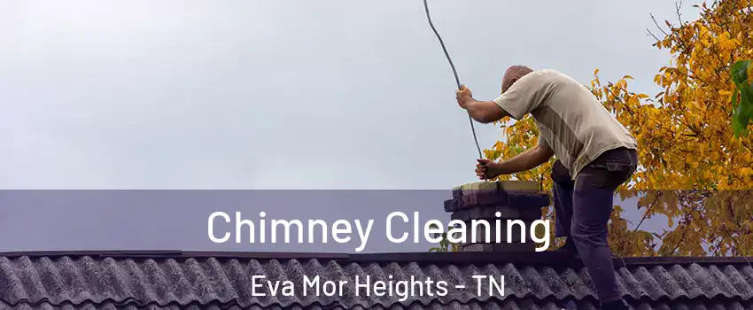 Chimney Cleaning Eva Mor Heights - TN