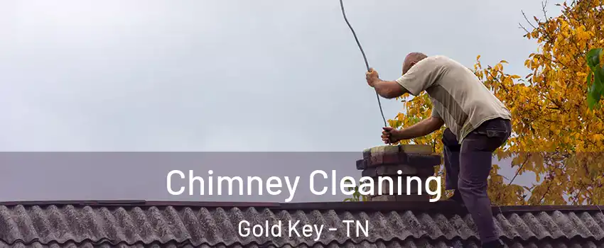 Chimney Cleaning Gold Key - TN
