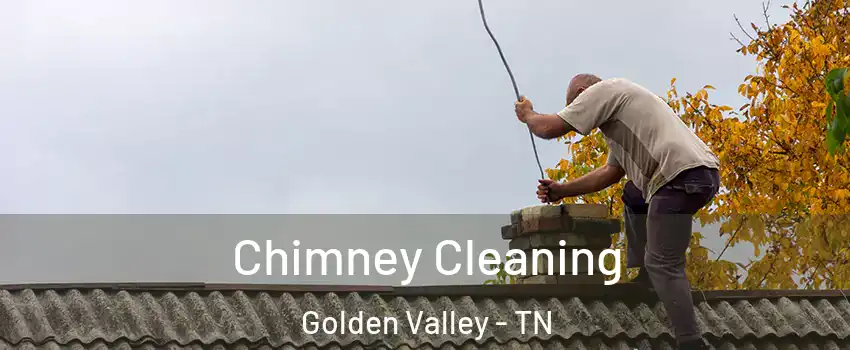 Chimney Cleaning Golden Valley - TN