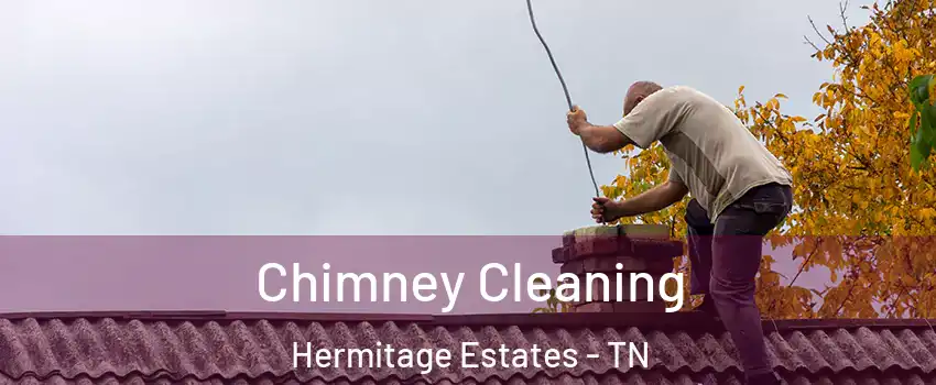 Chimney Cleaning Hermitage Estates - TN