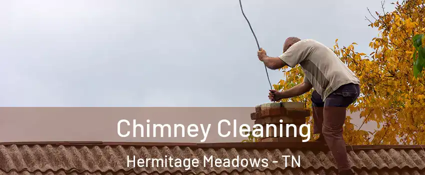 Chimney Cleaning Hermitage Meadows - TN