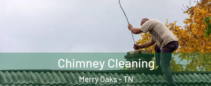 Chimney Cleaning Merry Oaks - TN