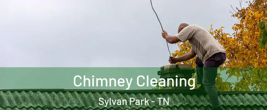 Chimney Cleaning Sylvan Park - TN