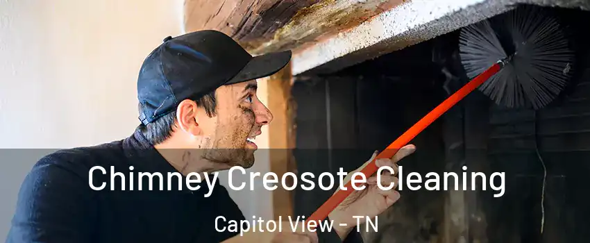 Chimney Creosote Cleaning Capitol View - TN
