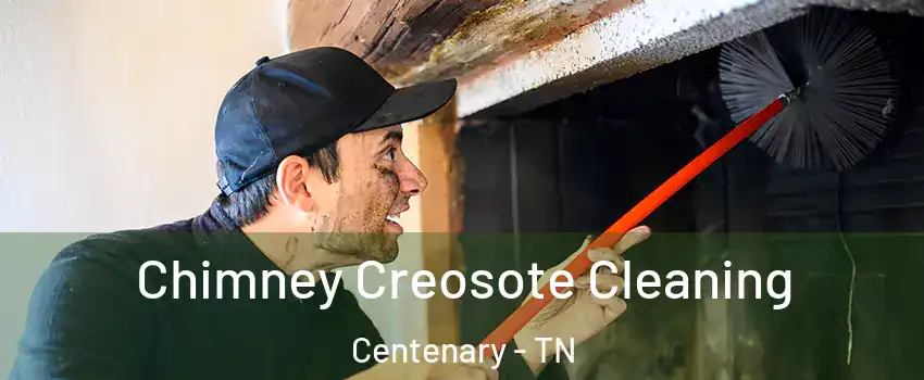 Chimney Creosote Cleaning Centenary - TN