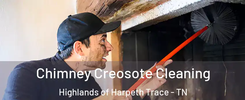 Chimney Creosote Cleaning Highlands of Harpeth Trace - TN