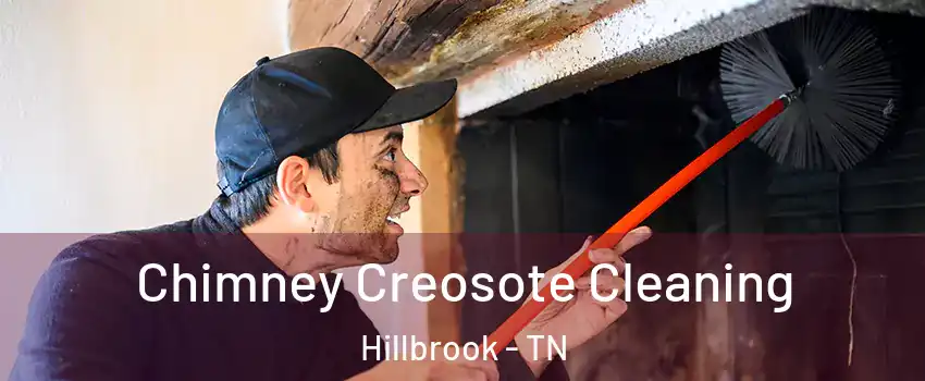Chimney Creosote Cleaning Hillbrook - TN