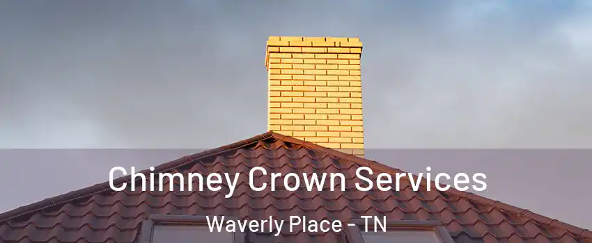 Chimney Crown Services Waverly Place - TN