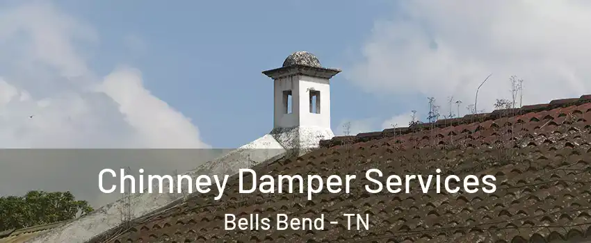 Chimney Damper Services Bells Bend - TN
