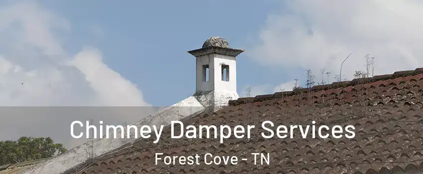 Chimney Damper Services Forest Cove - TN