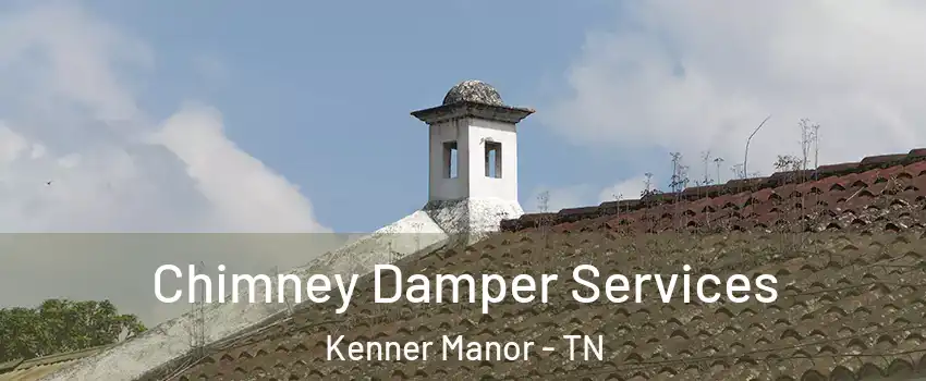 Chimney Damper Services Kenner Manor - TN