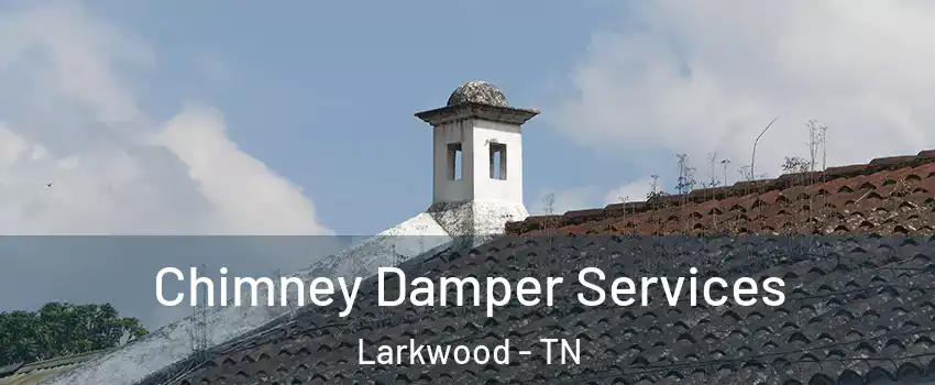 Chimney Damper Services Larkwood - TN