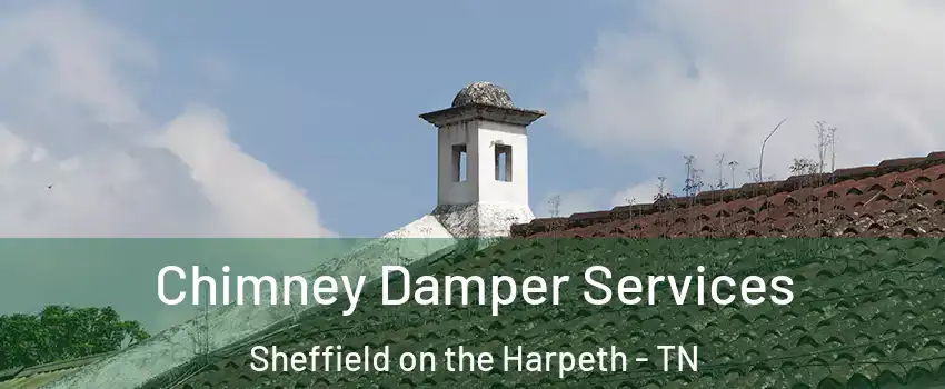 Chimney Damper Services Sheffield on the Harpeth - TN