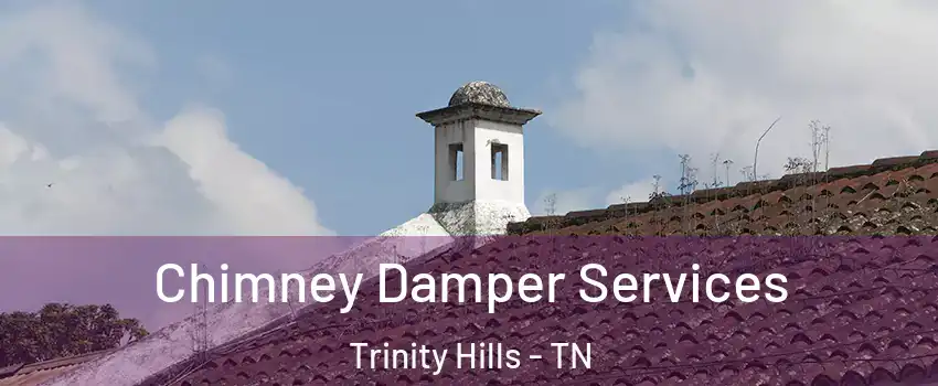 Chimney Damper Services Trinity Hills - TN