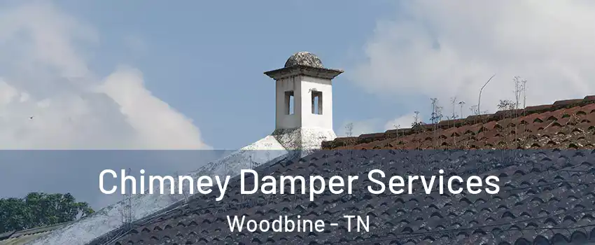 Chimney Damper Services Woodbine - TN