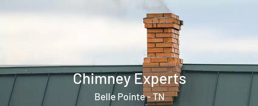 Chimney Experts Belle Pointe - TN