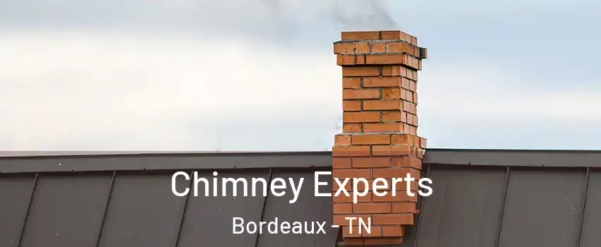 Chimney Experts Bordeaux - TN