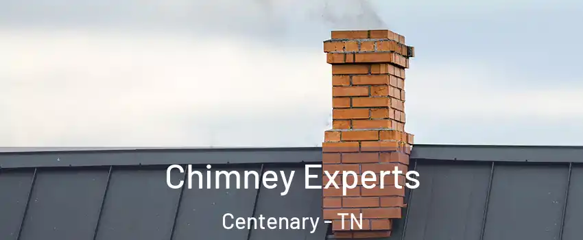 Chimney Experts Centenary - TN
