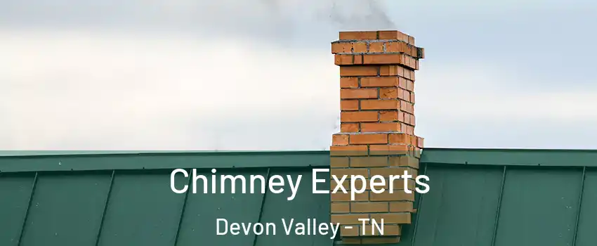 Chimney Experts Devon Valley - TN