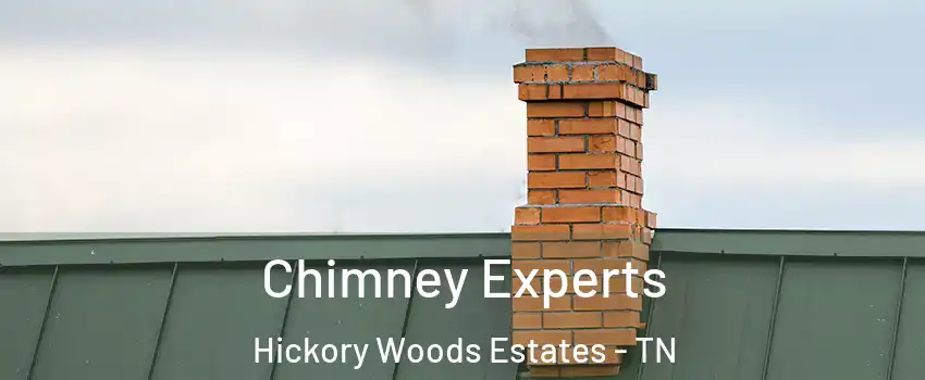 Chimney Experts Hickory Woods Estates - TN