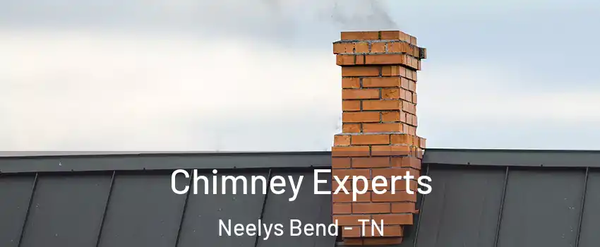 Chimney Experts Neelys Bend - TN