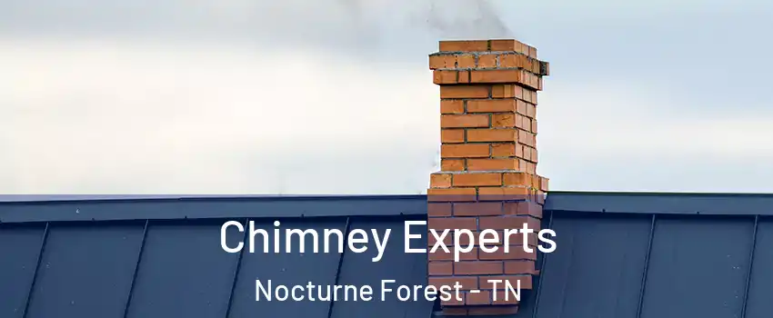 Chimney Experts Nocturne Forest - TN