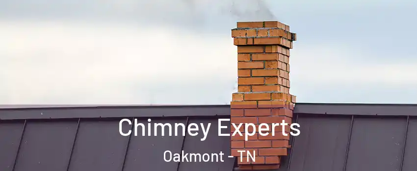 Chimney Experts Oakmont - TN