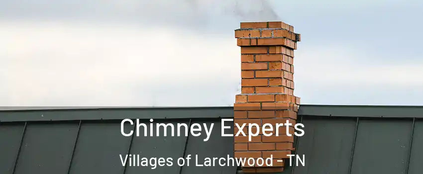 Chimney Experts Villages of Larchwood - TN