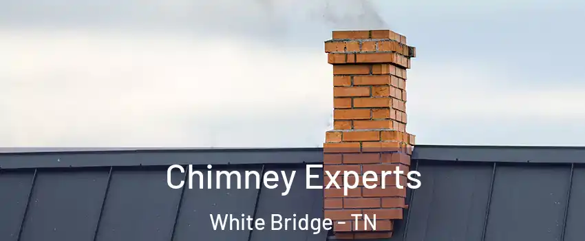 Chimney Experts White Bridge - TN