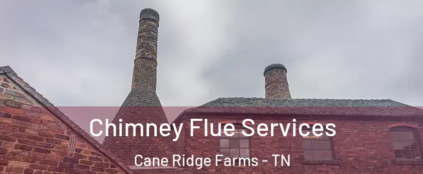 Chimney Flue Services Cane Ridge Farms - TN