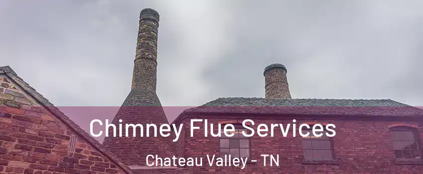 Chimney Flue Services Chateau Valley - TN