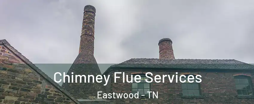 Chimney Flue Services Eastwood - TN