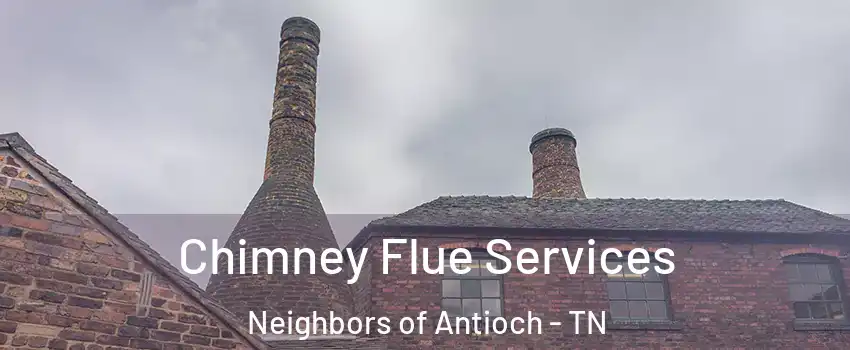 Chimney Flue Services Neighbors of Antioch - TN