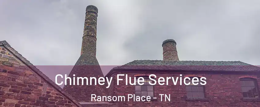 Chimney Flue Services Ransom Place - TN
