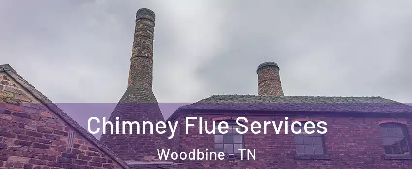 Chimney Flue Services Woodbine - TN