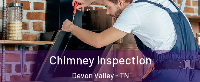 Chimney Inspection Devon Valley - TN