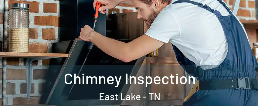 Chimney Inspection East Lake - TN