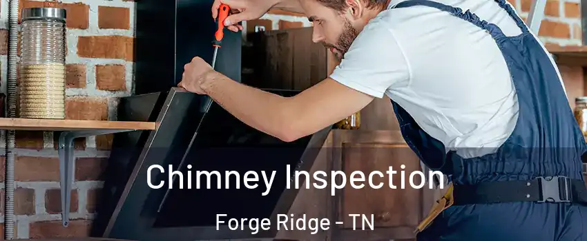 Chimney Inspection Forge Ridge - TN