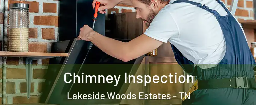 Chimney Inspection Lakeside Woods Estates - TN
