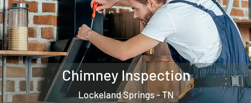 Chimney Inspection Lockeland Springs - TN