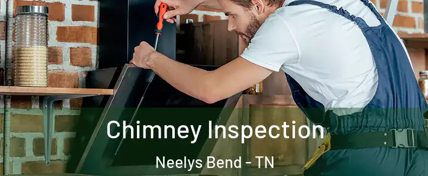 Chimney Inspection Neelys Bend - TN